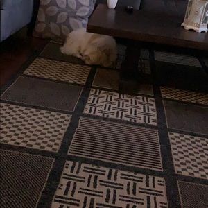 Meet your Posher, Susan